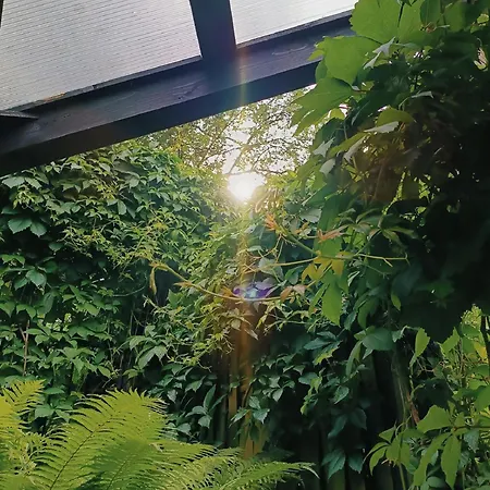 Homestay szállás Poza Szlakiem *