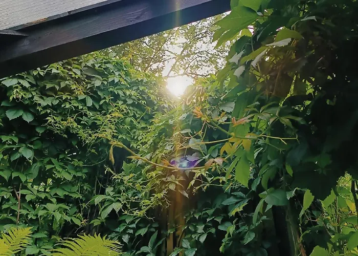 Accommodatie bij particulieren 